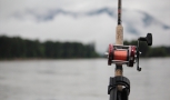picture of salmon fishing reel and line